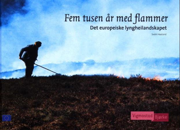 Fem tusen år med flammer