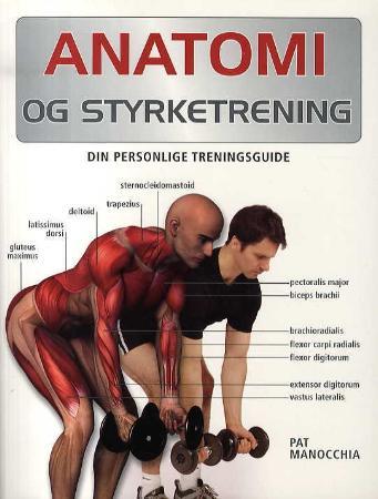 Anatomi og styrketrening