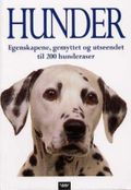 Hunder