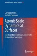 Atomic Scale Dynamics at Surfaces