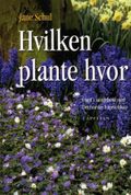 Hvilken plante hvor