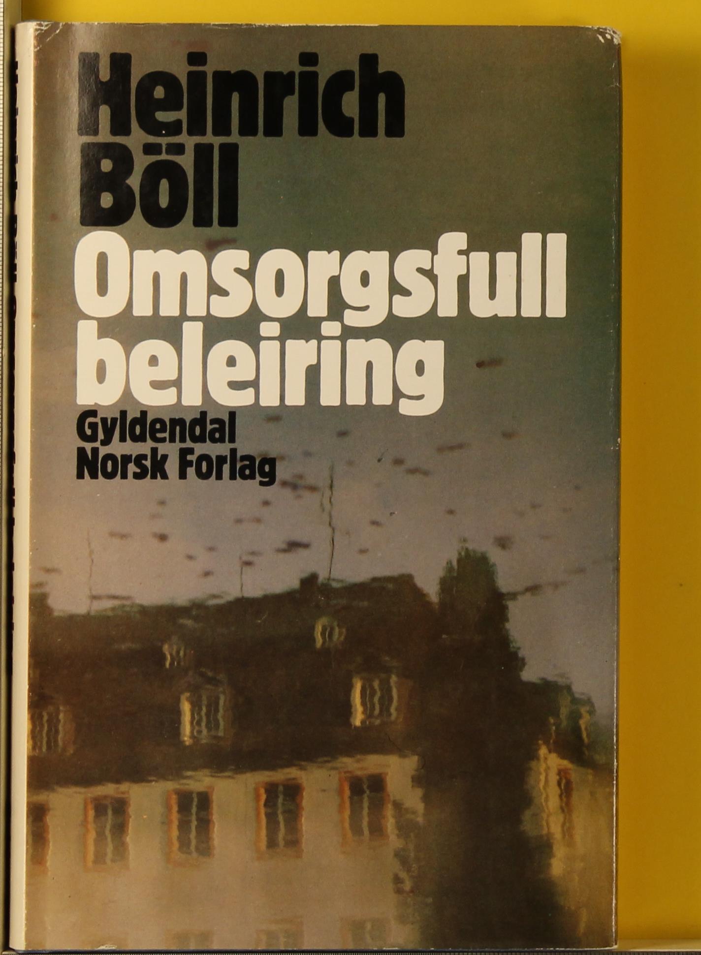 Omsorgsfull beleiring : roman