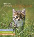Verdens søteste kattunger