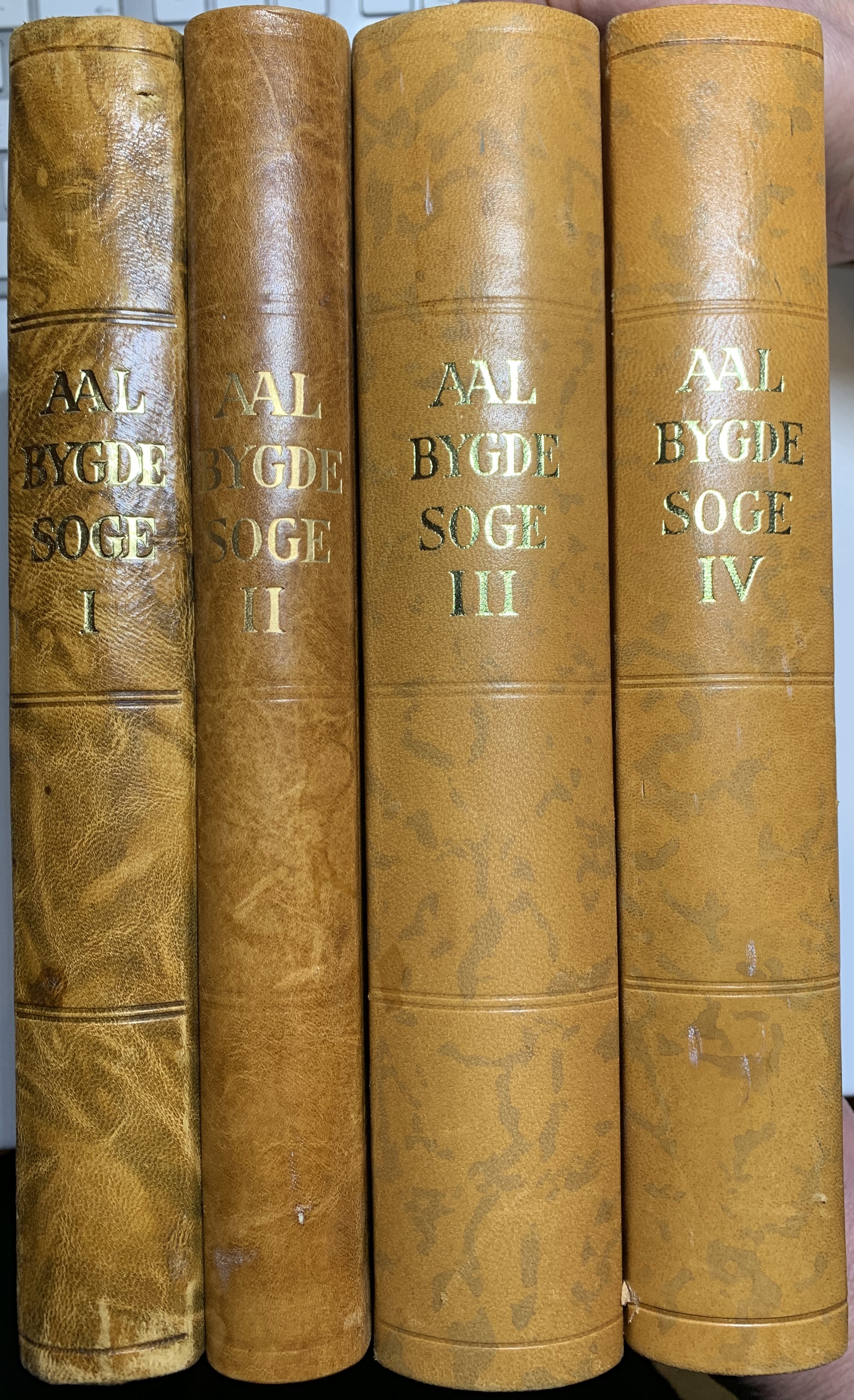 Aal bygdesoge I-II-III-IV