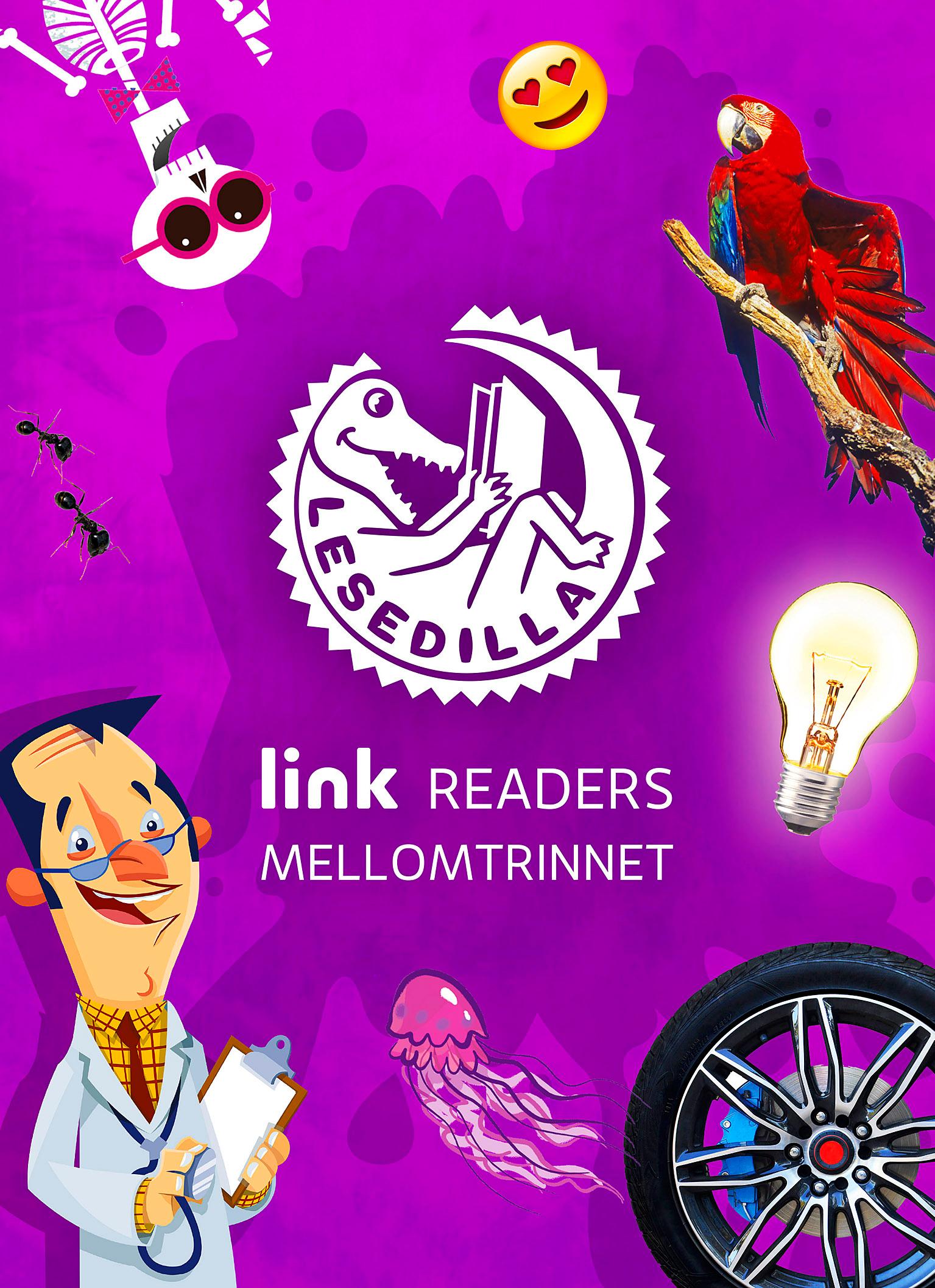 Lesedilla: link Readers, Mellomtrinnet