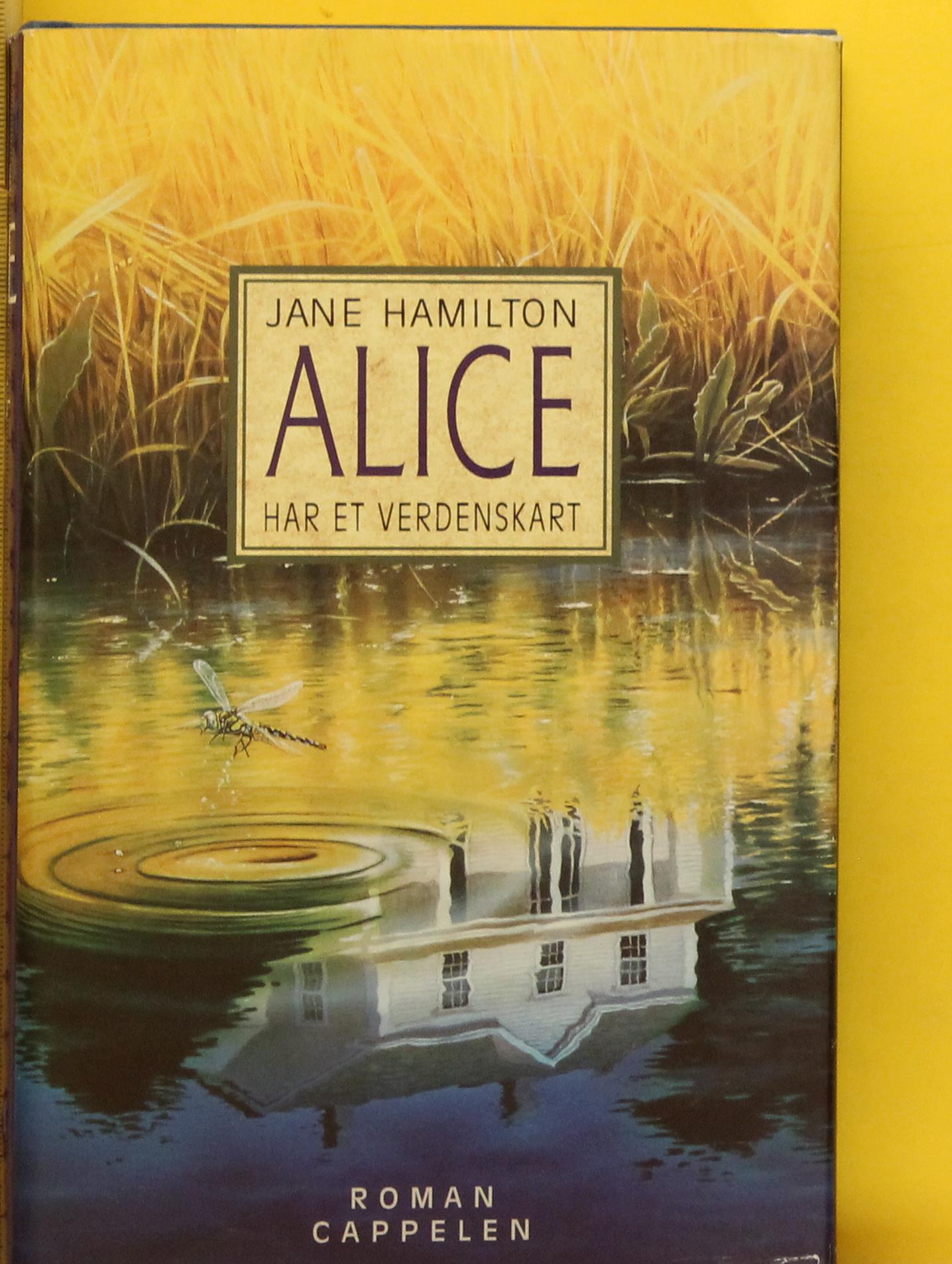 Alice har et verdenskart