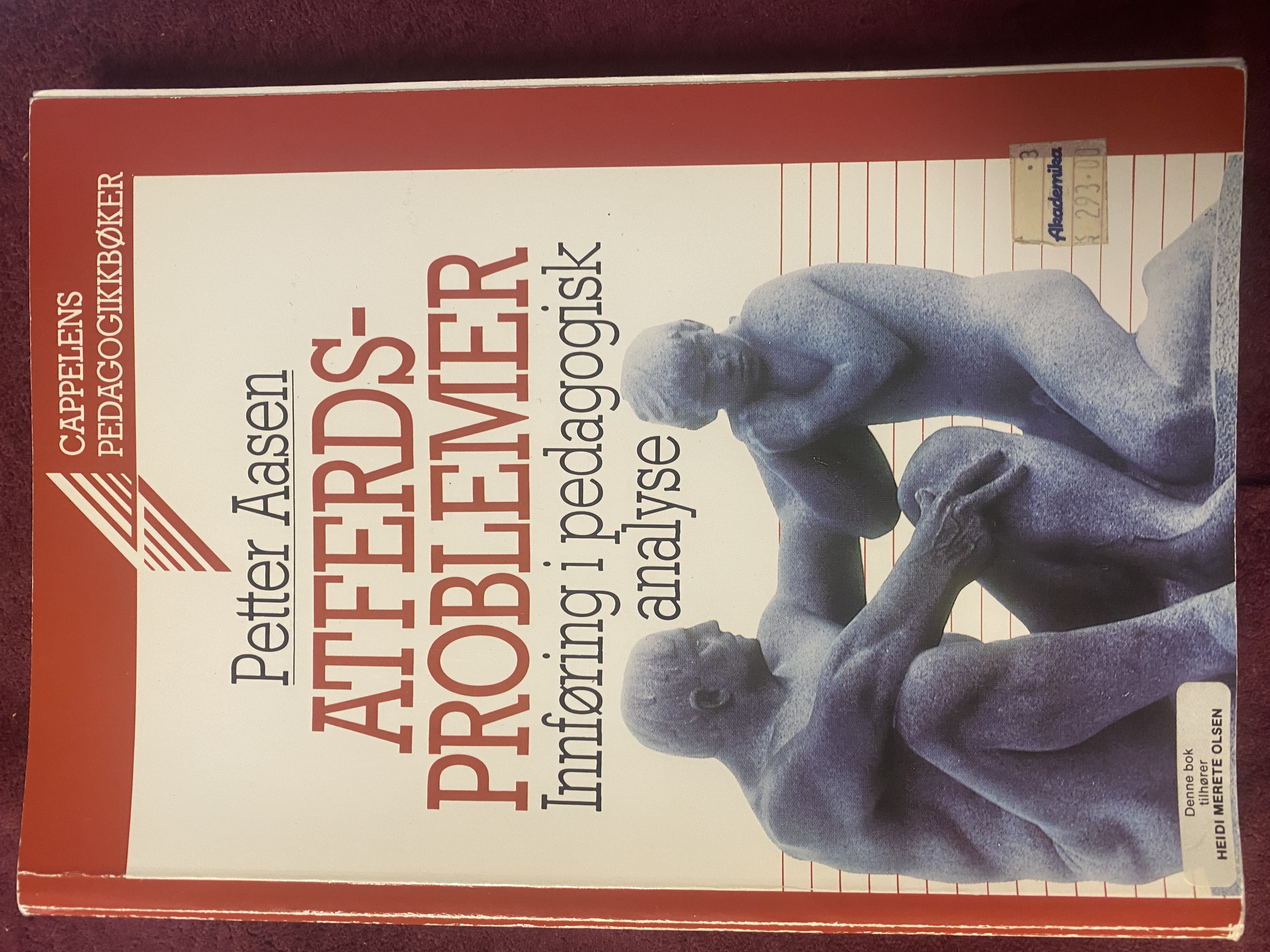 Atferdsproblemer