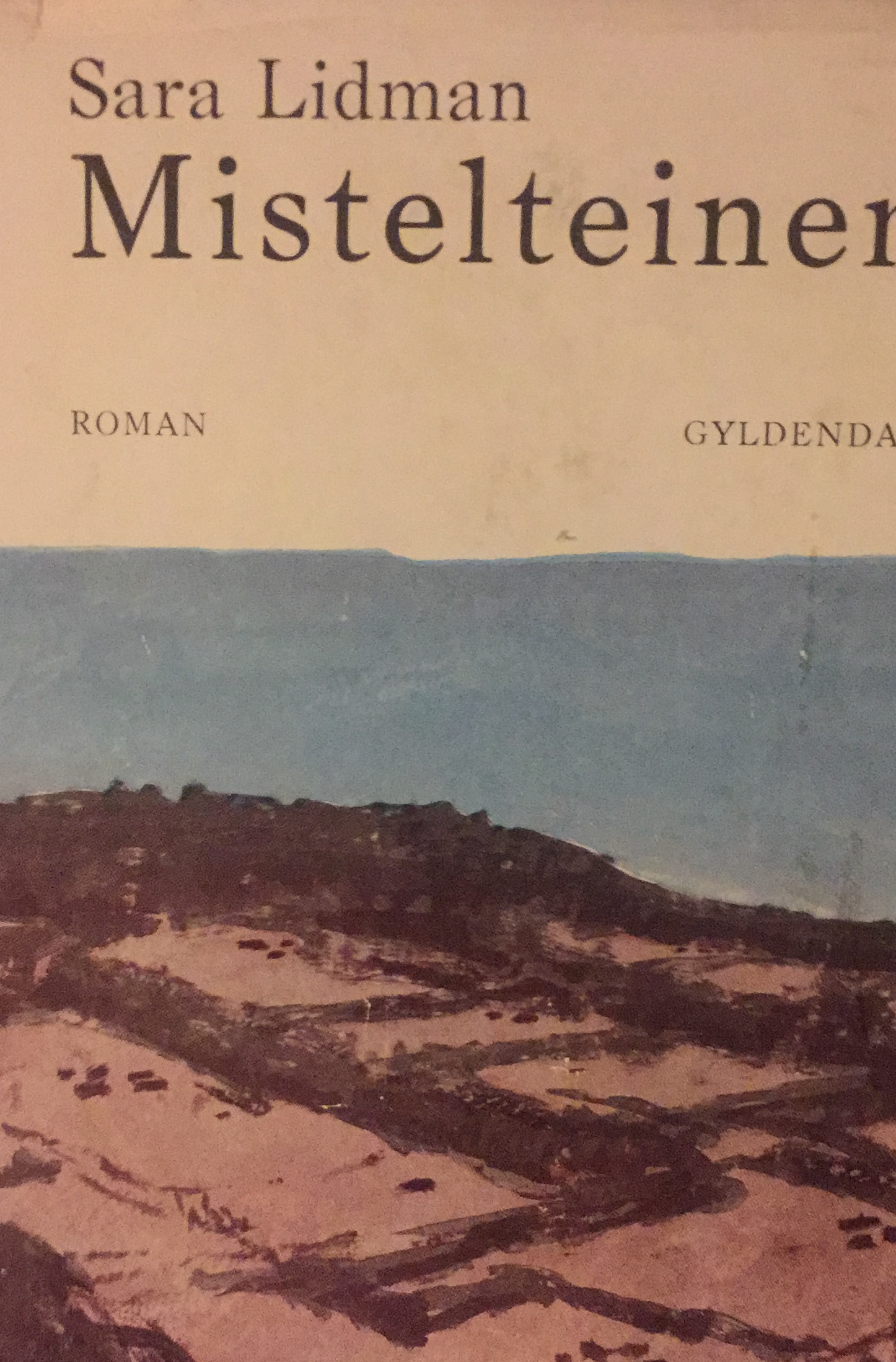 Mistelteinen