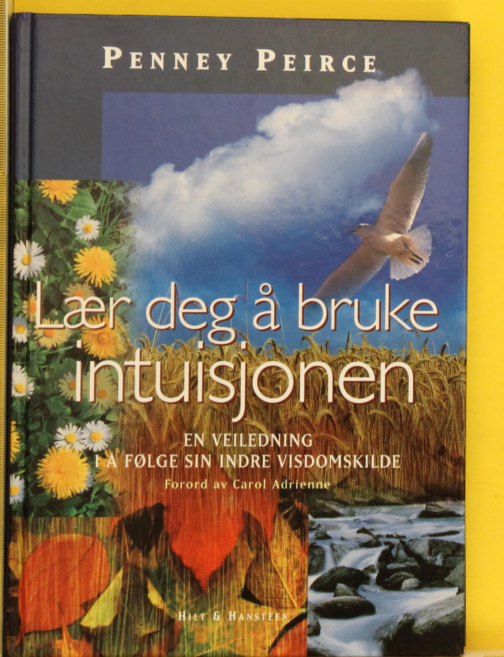 Lær deg å bruke intuisjonen