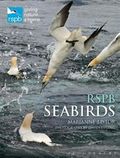 Rspb Seabirds