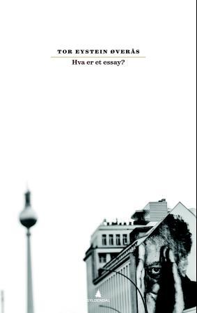 Hva er et essay?