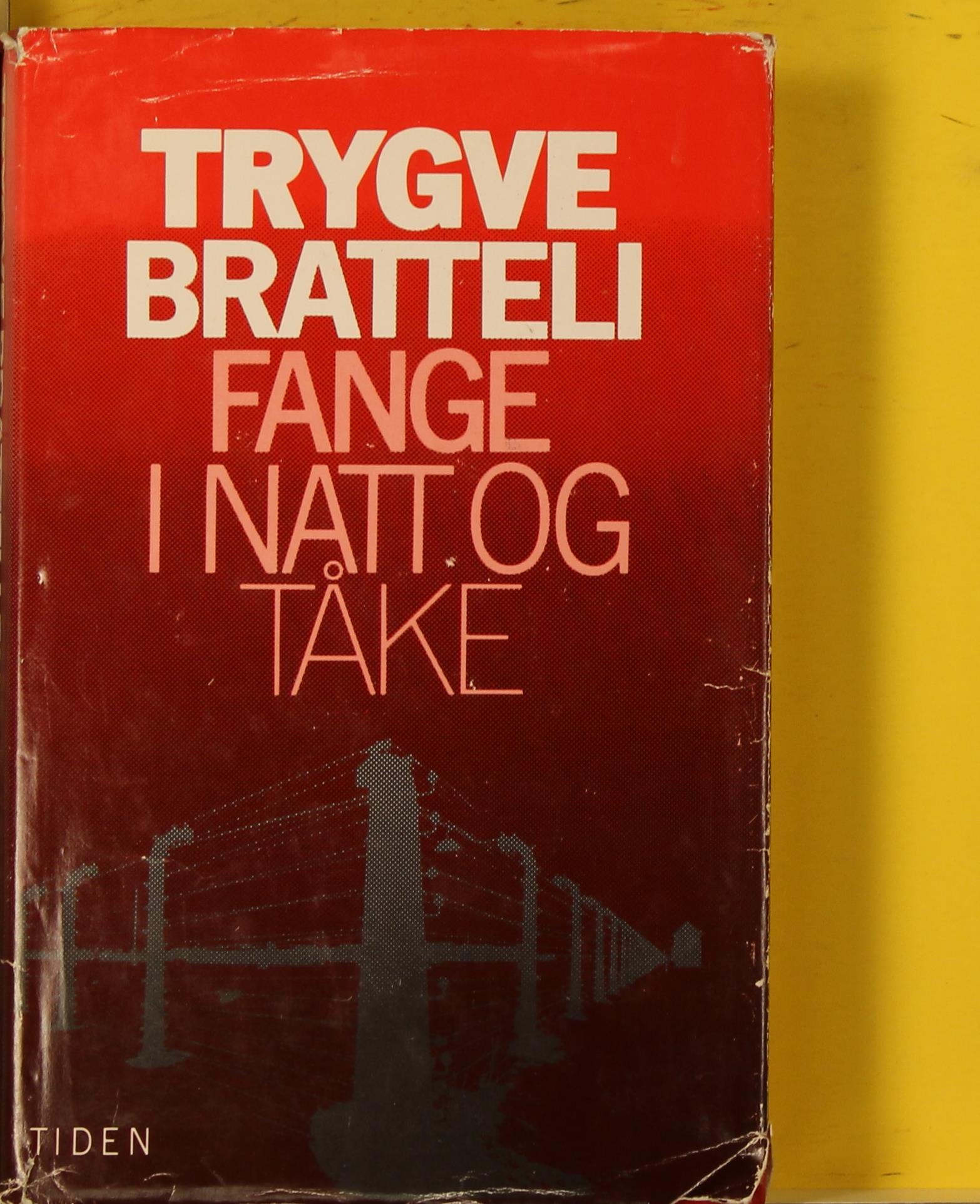 Fange i natt og tåke