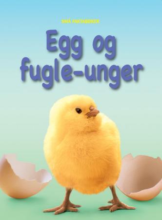 Egg og fugle-unger