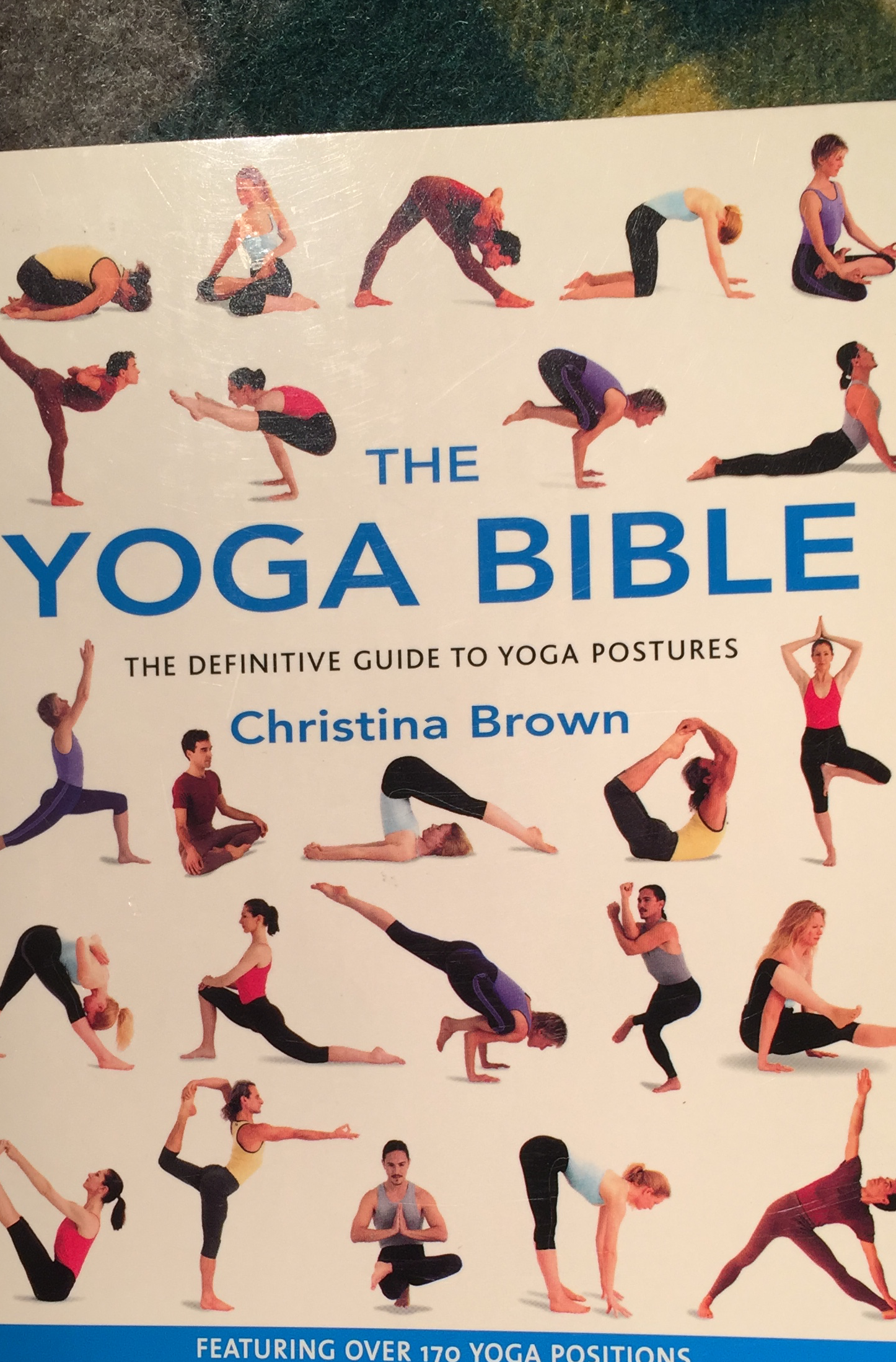 The yoga bible
