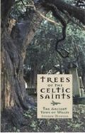 Trees of the Celtic Saints   The Ancient Yews of Wales