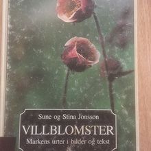 Villblomster