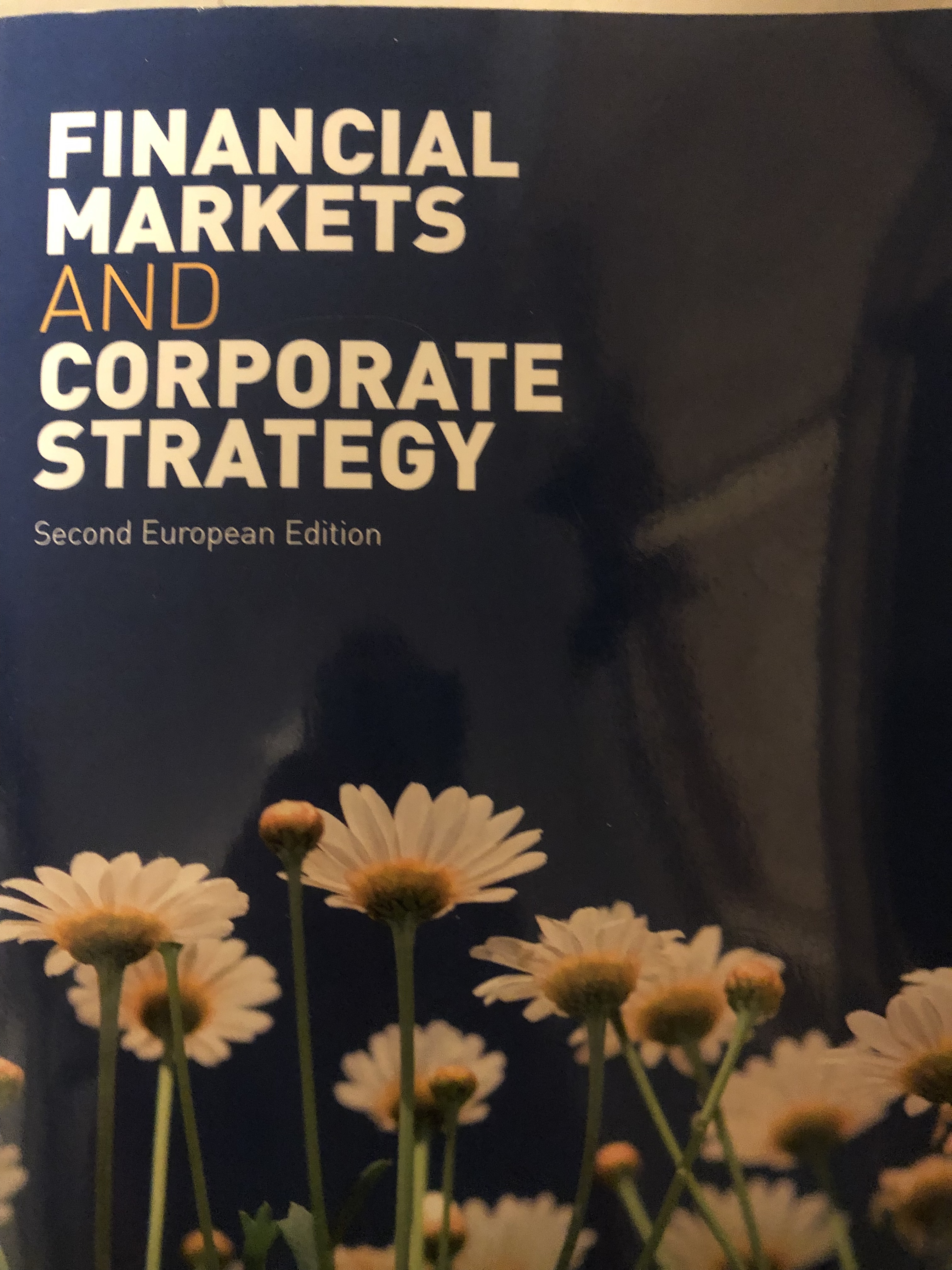 Financial markets and corporate strategy