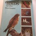 The Dictionary of Birds