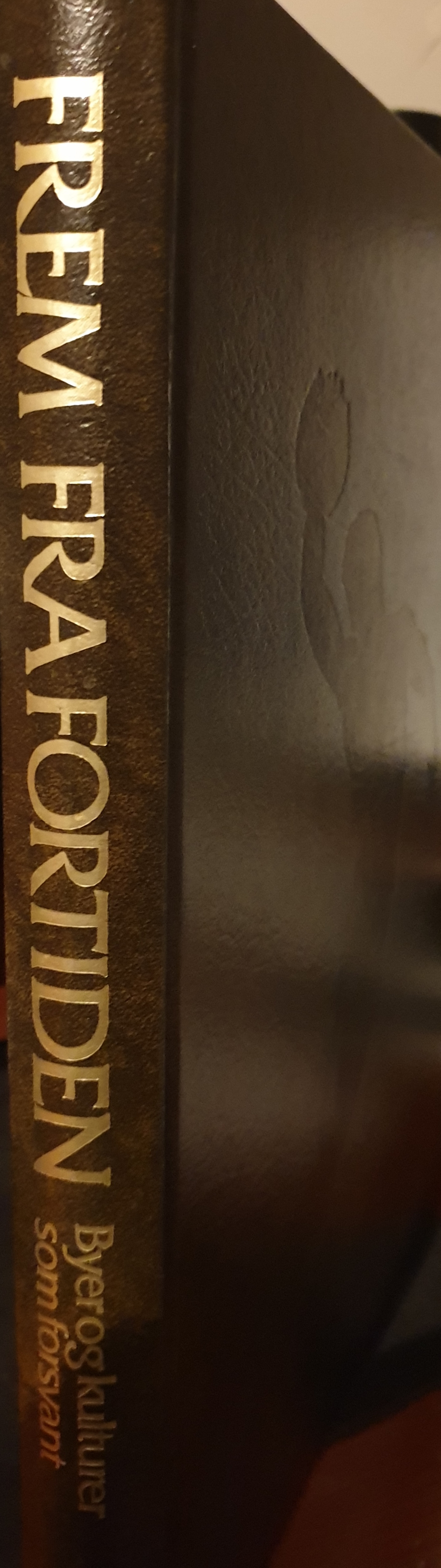 Frem fra fortiden : byer og kulturer som forsvant