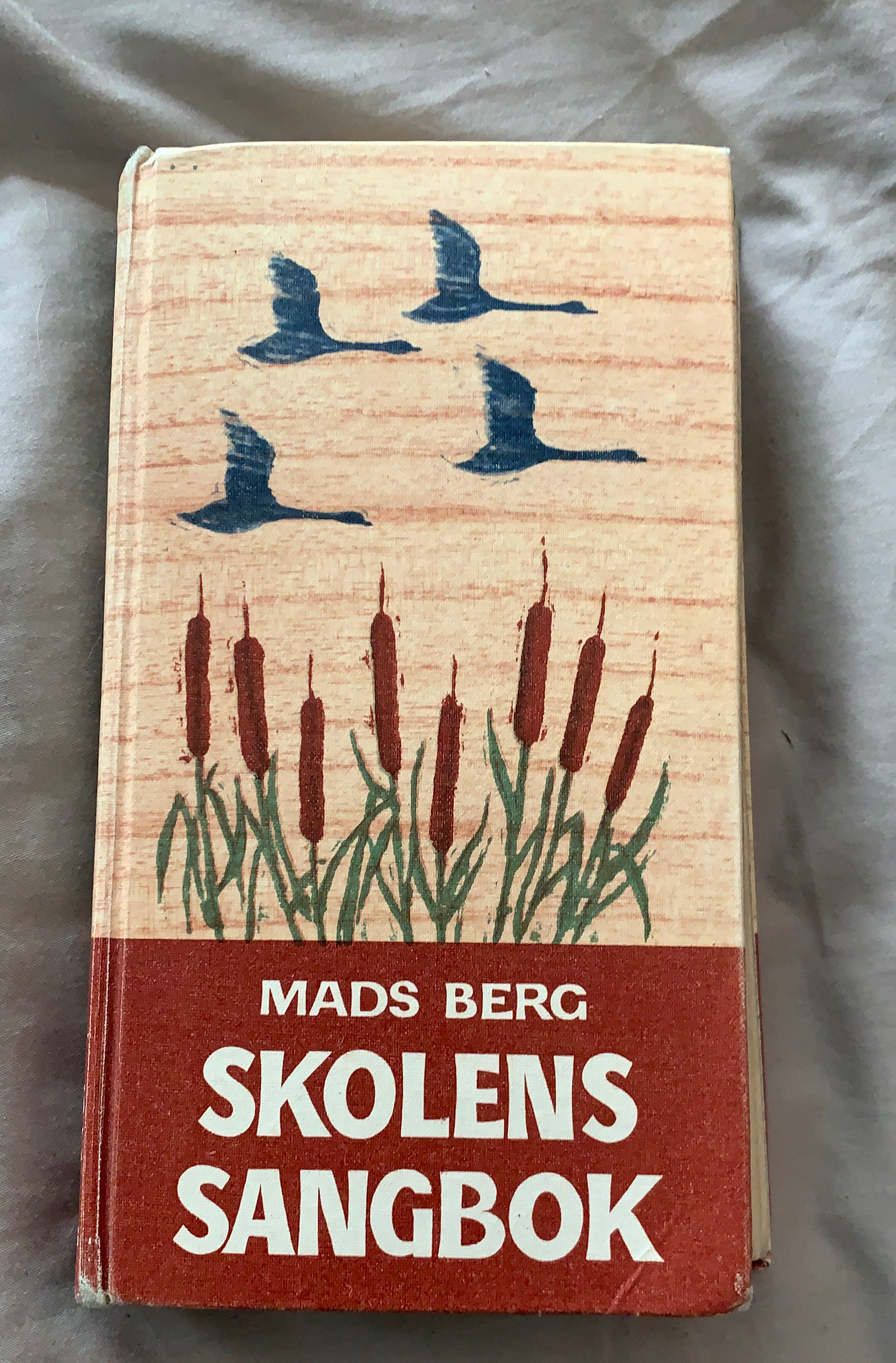 Skolens sangbok