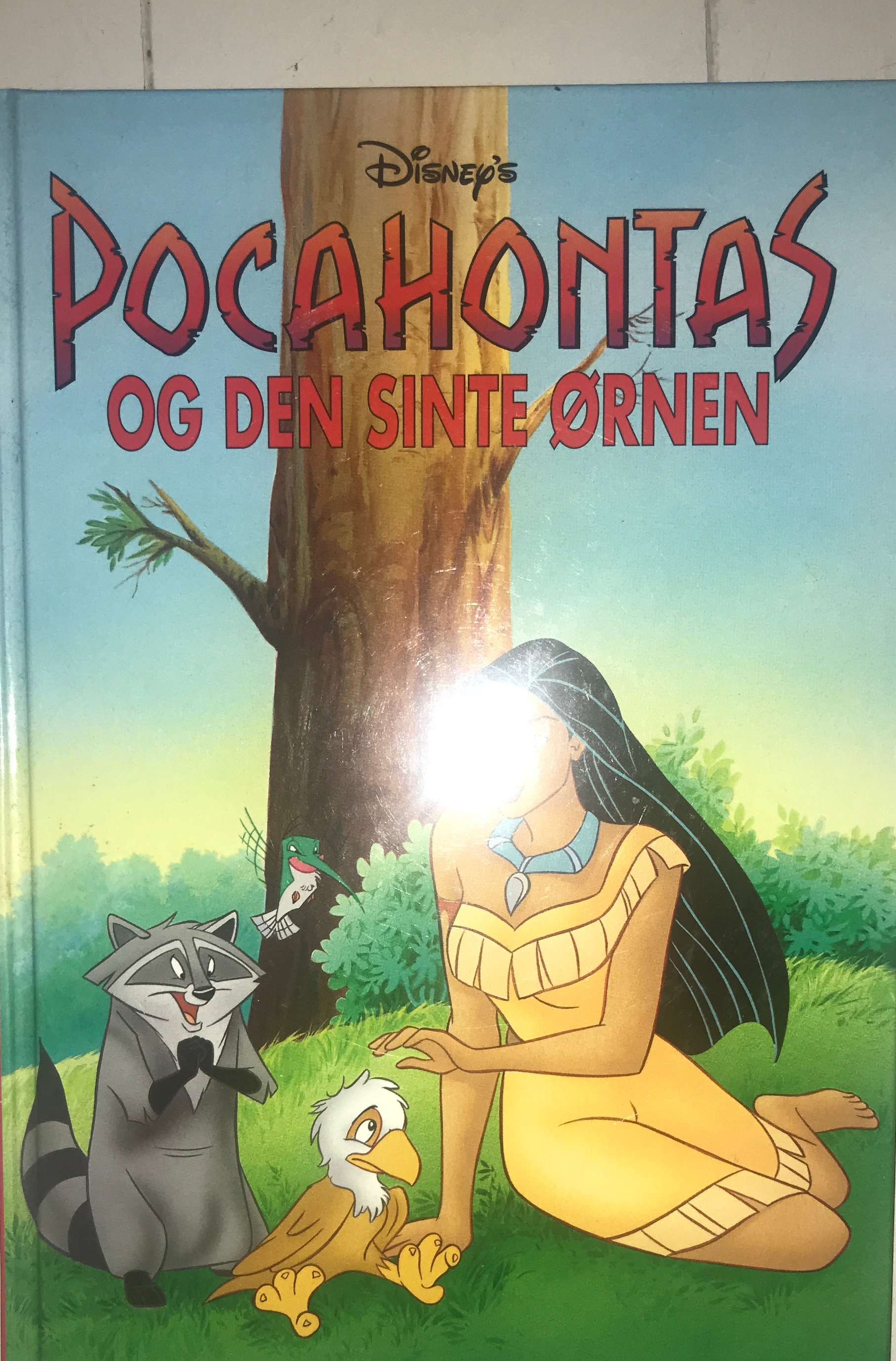 Pocahontas og den sinte ørnen