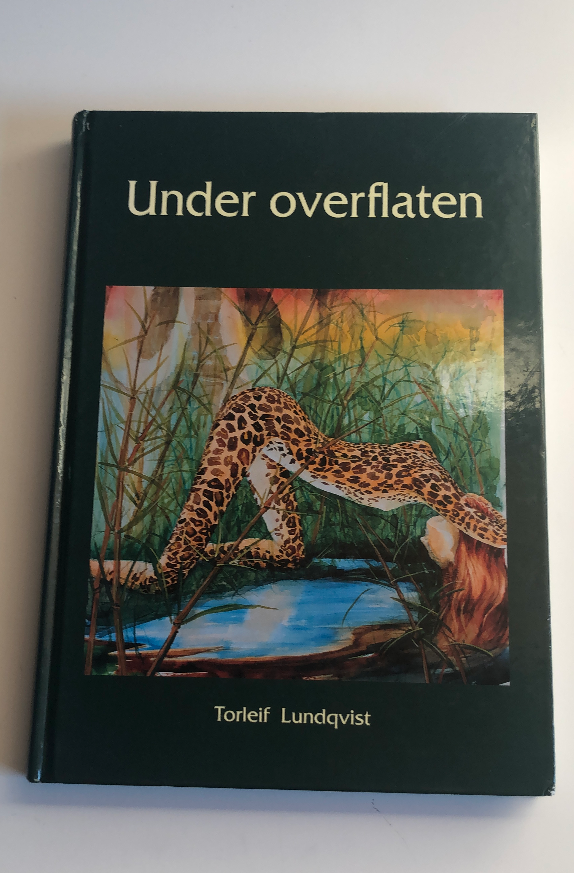 Under overflaten