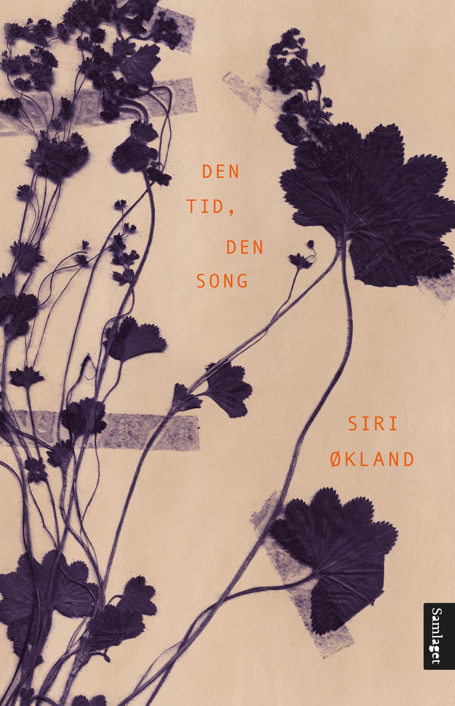 Den tid, den song