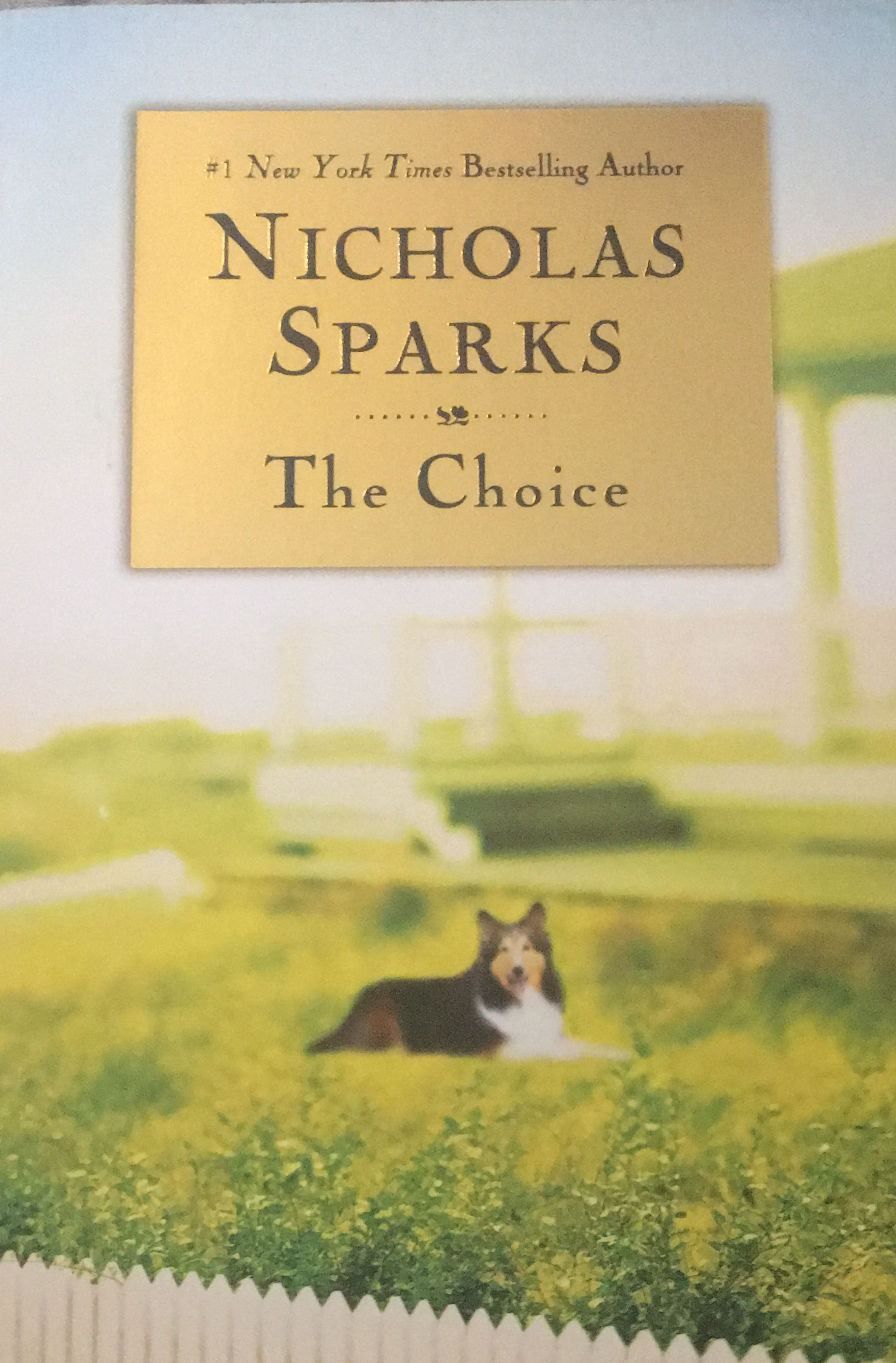 The Choice