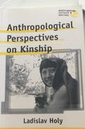 Anthropological perspectives on kinship