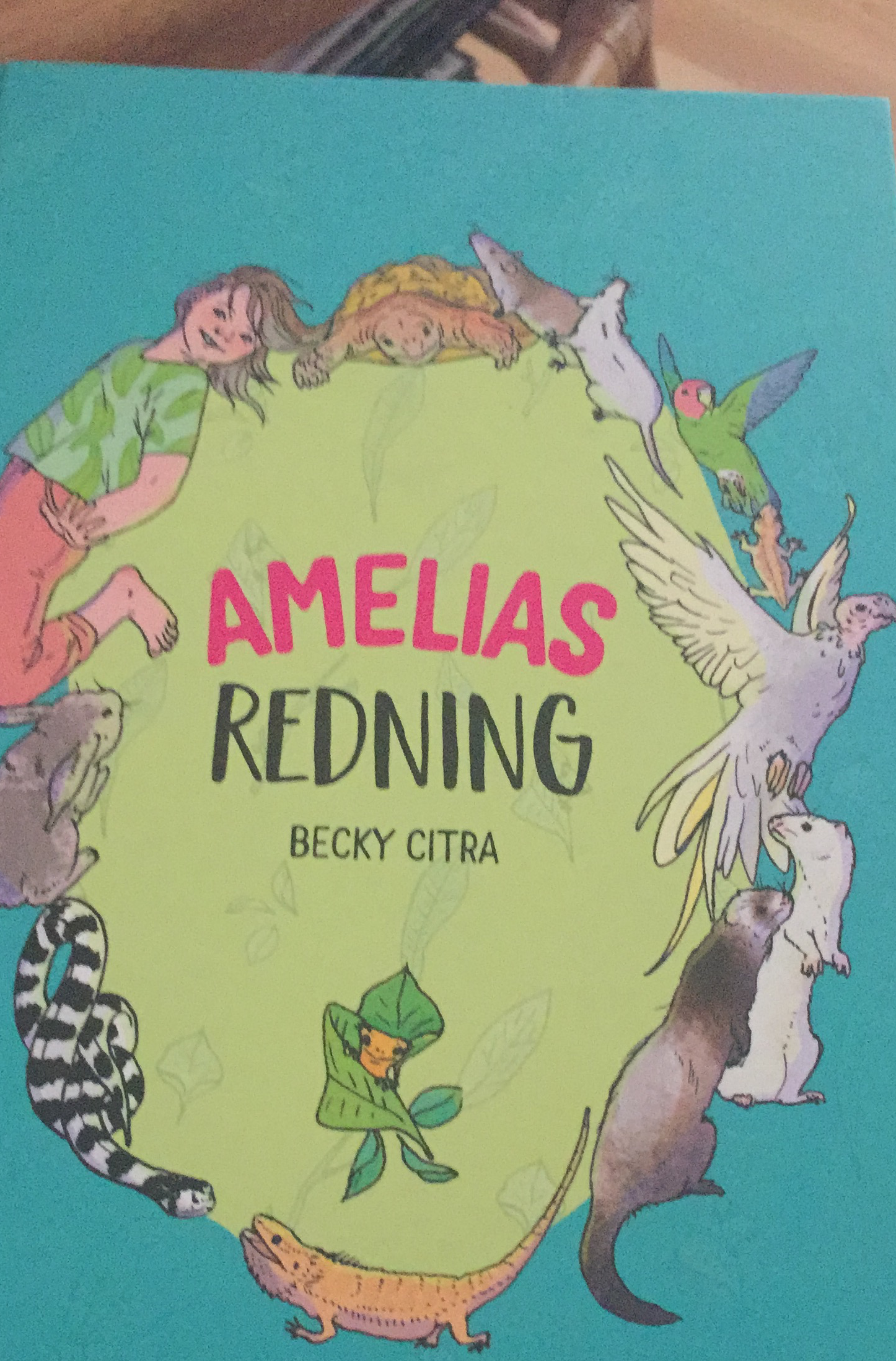 Amalias redning