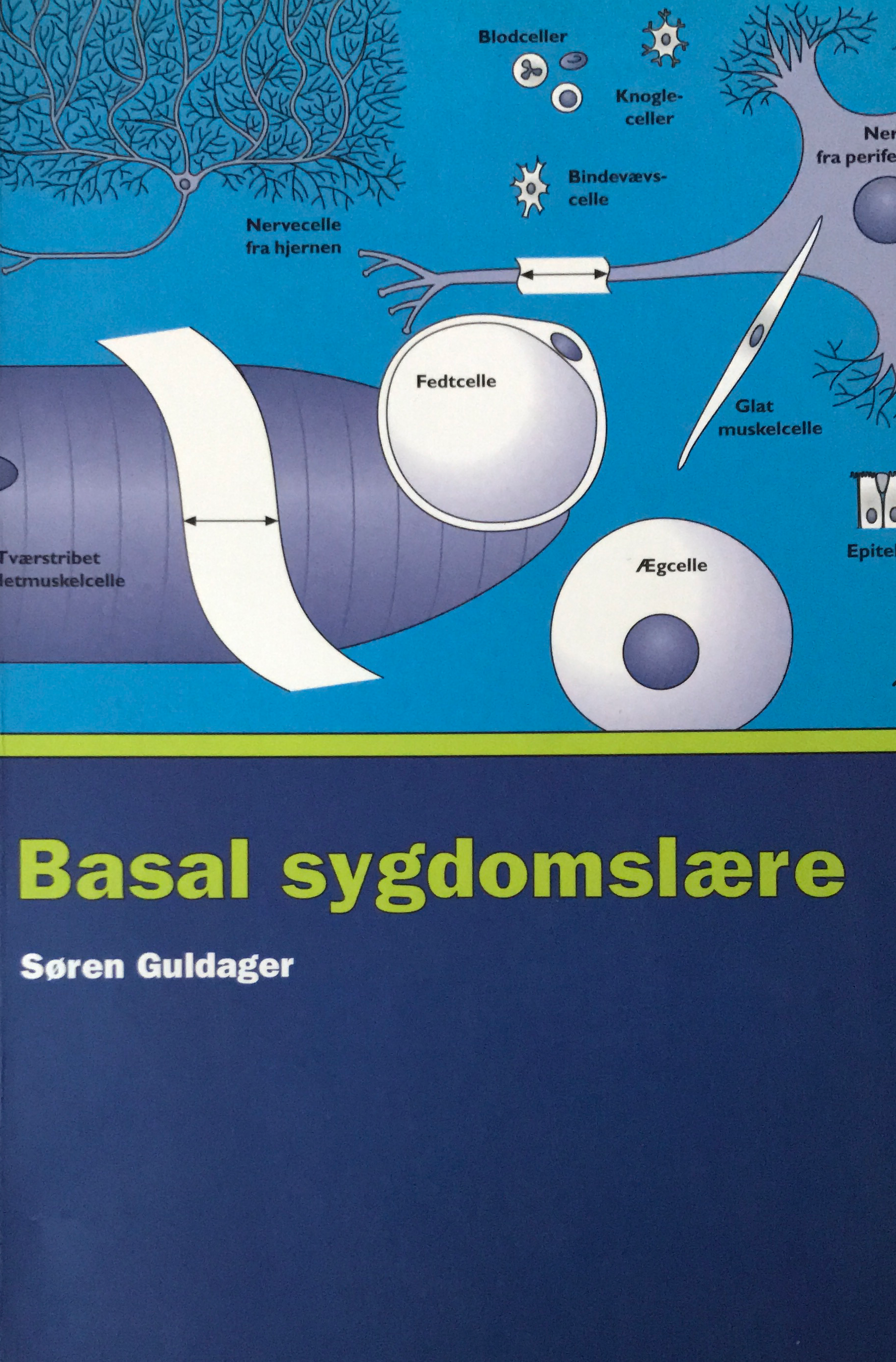 Basal Sygdomslære