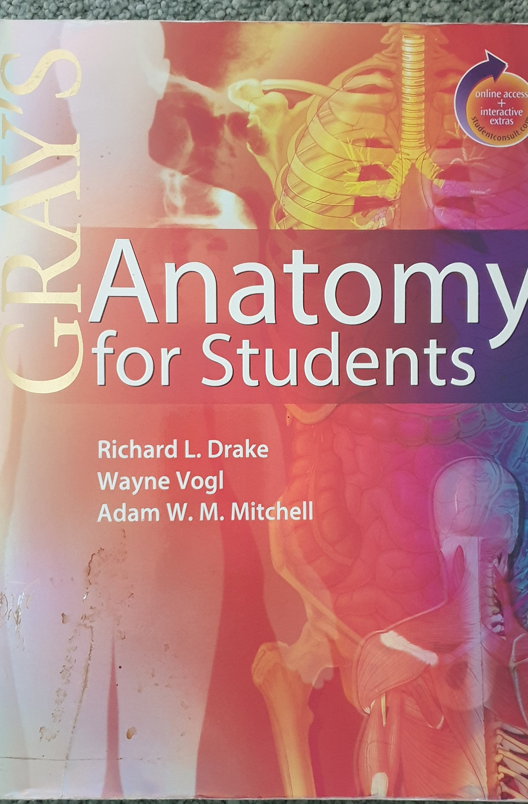 Grays's Anatomy for Students