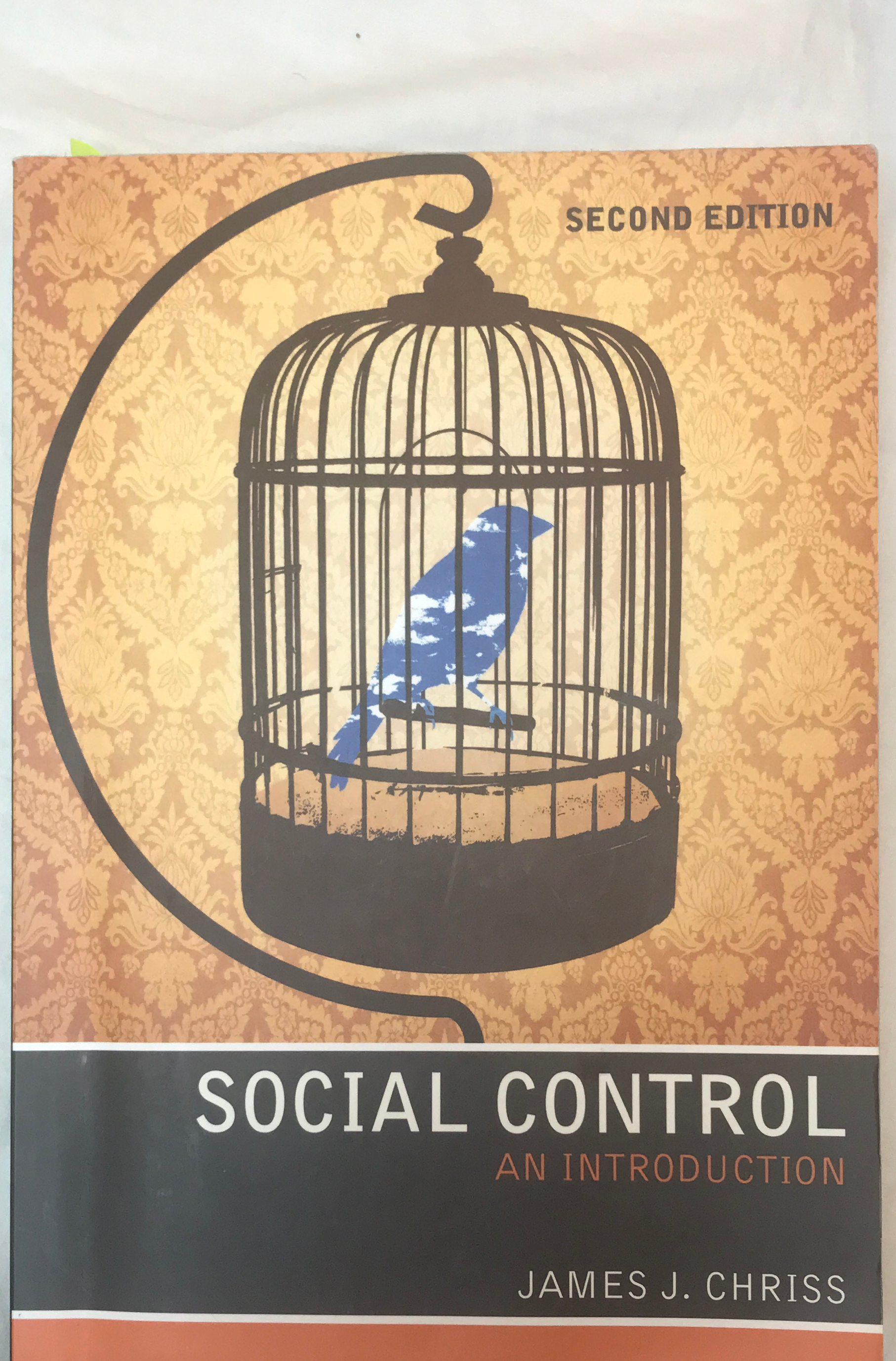 SOCIAL CONTROL - AN INTRODUCTION