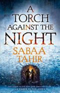 A torch against the night