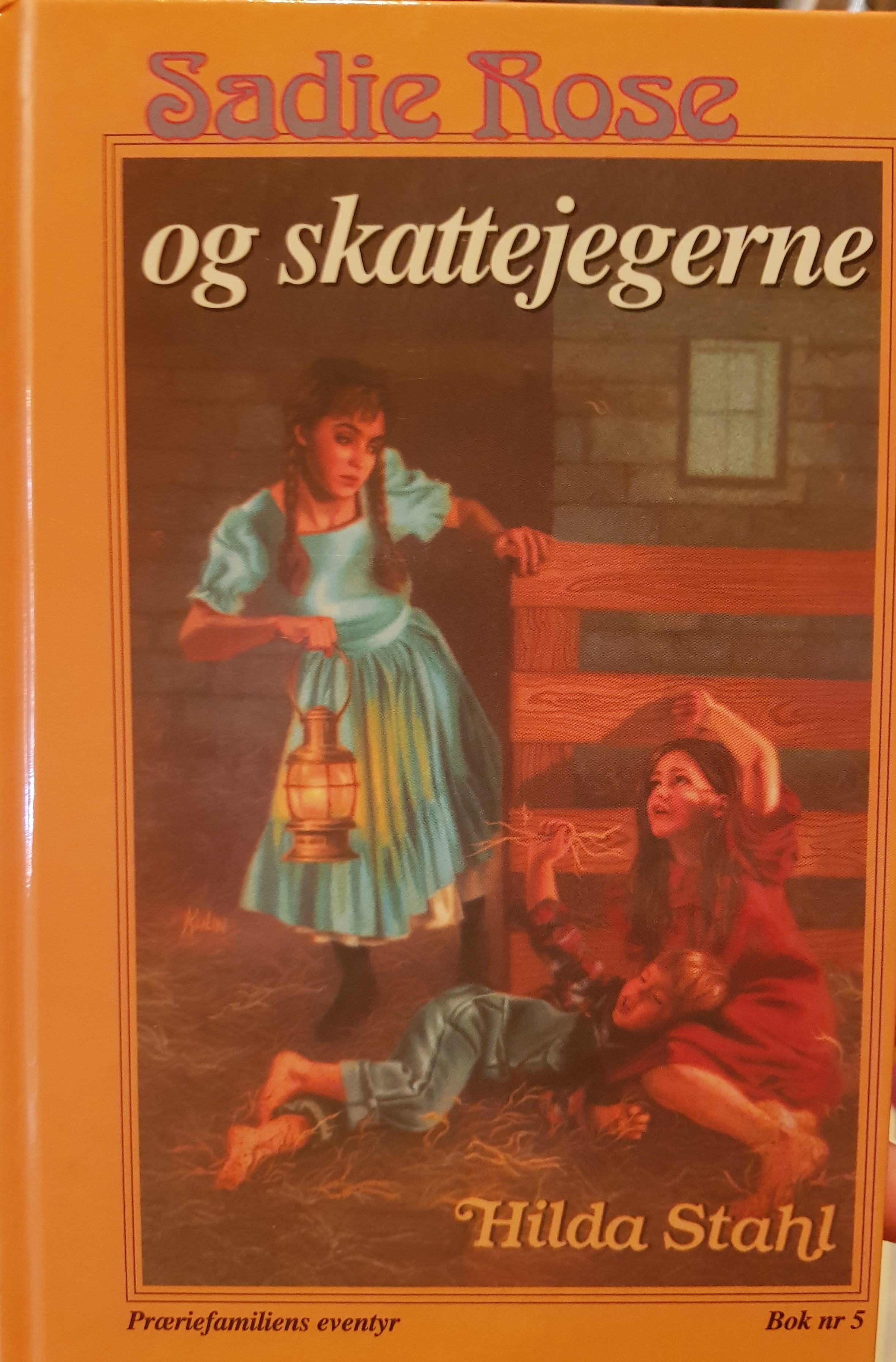 Sadie Rose og skattejegerne 