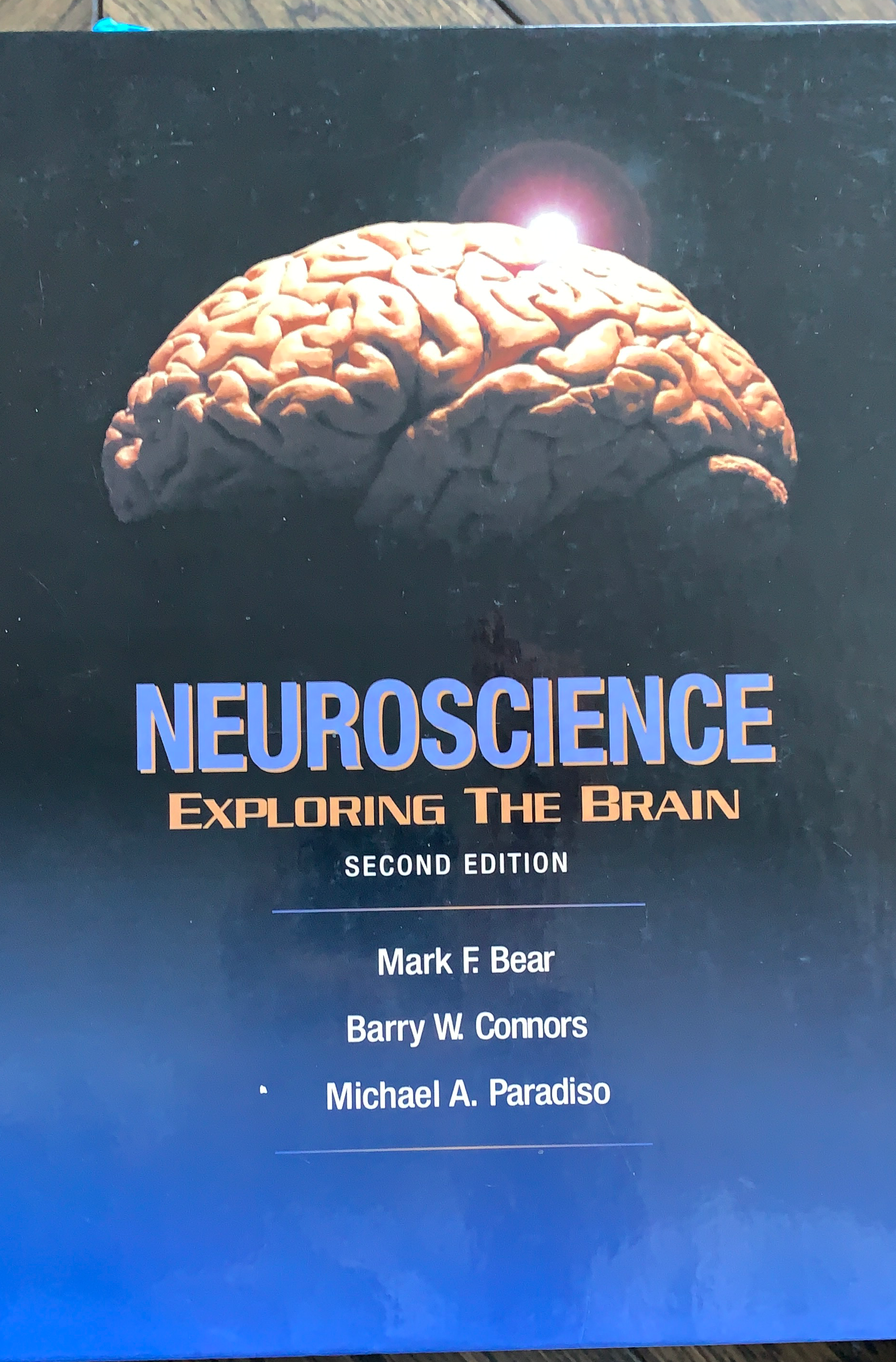 Neuroscience exploring the brain