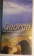 Den virkelig skyldige