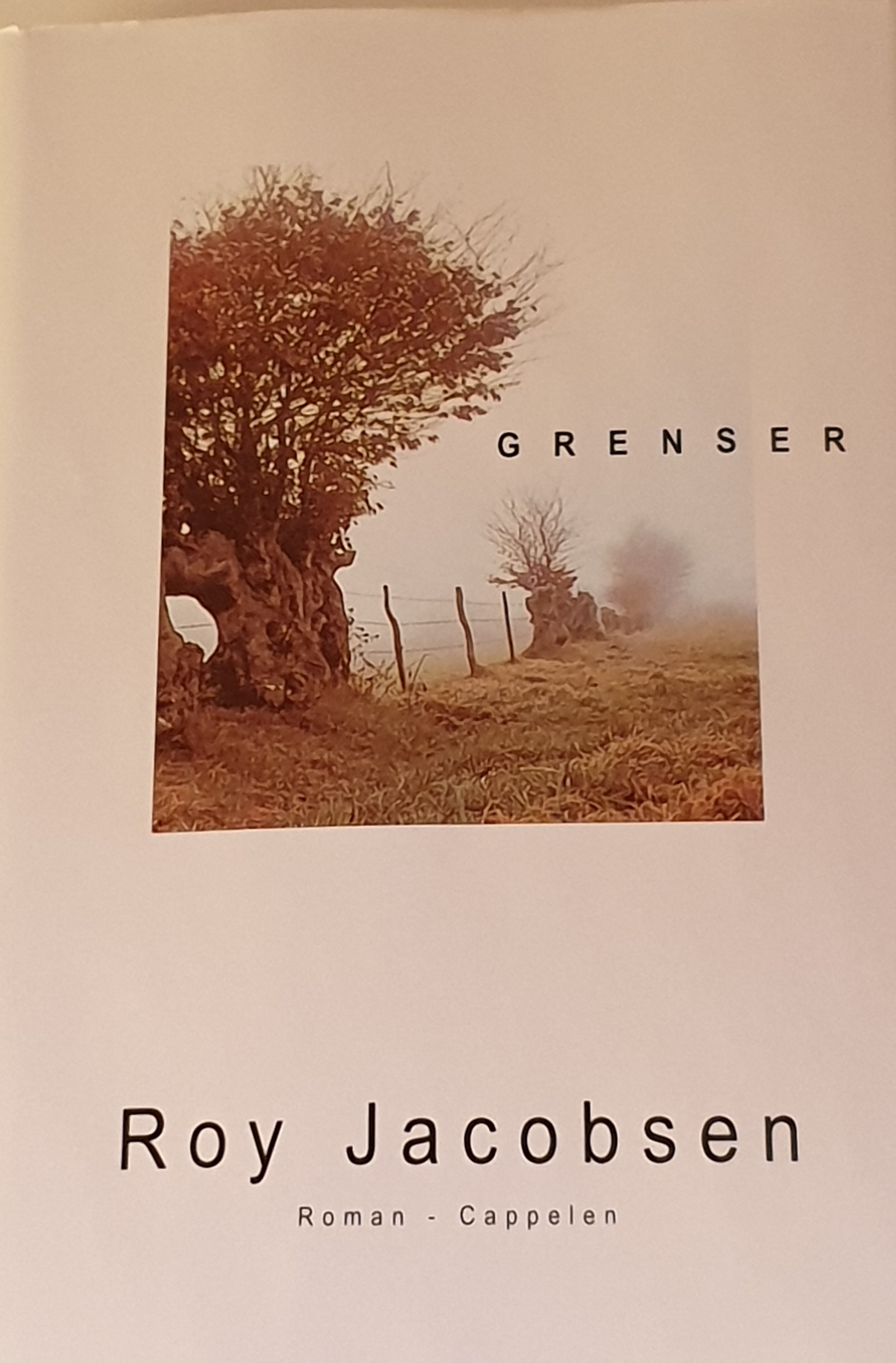 Grenser