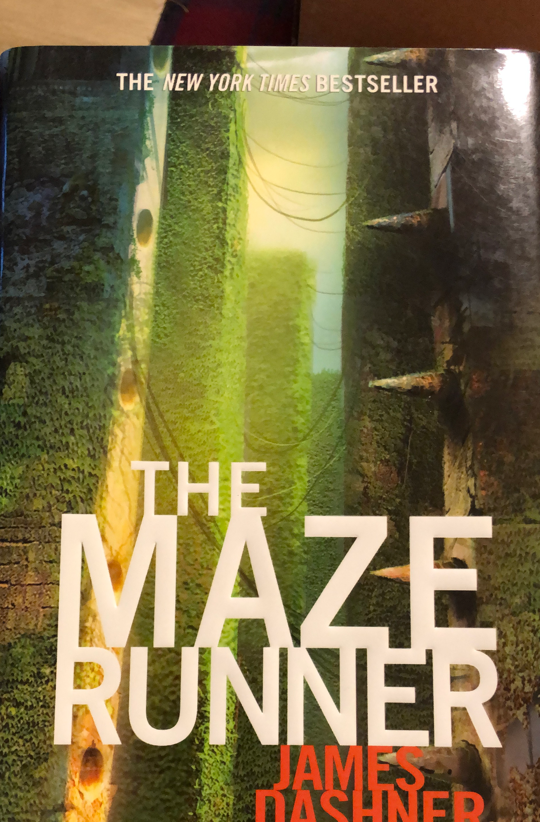 The maze runner