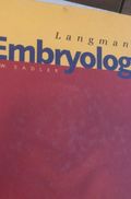 Langmans Embryologi