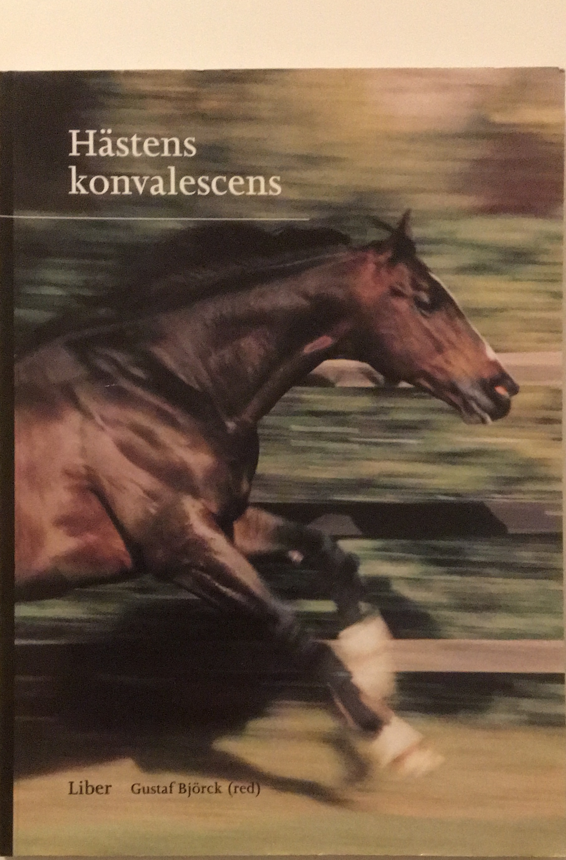 Hästens konvalescens