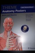 THIEME anatomy Posters 