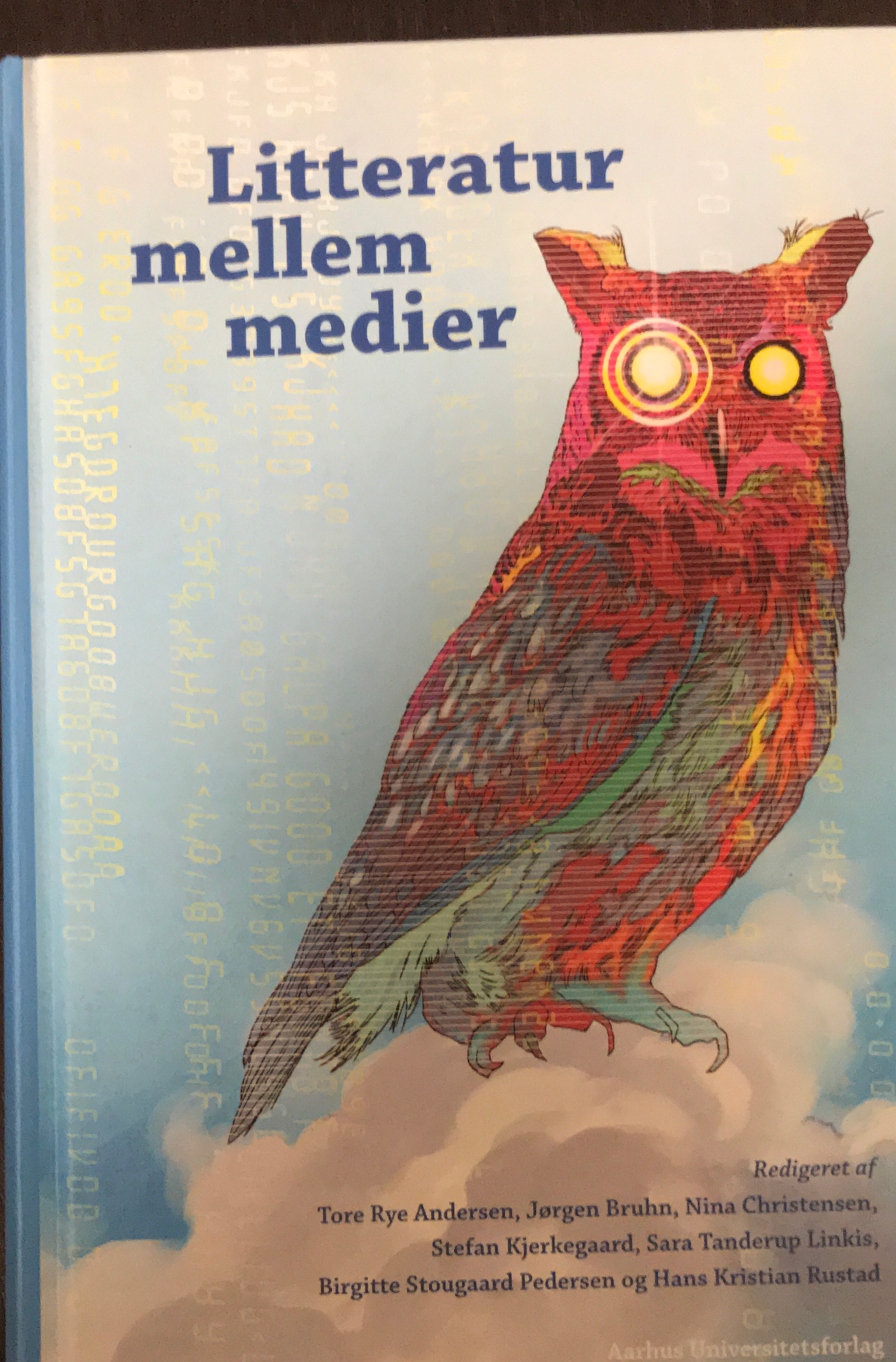 Litteratur mellem medier