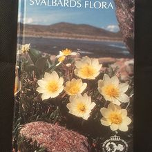 Svalbards flora