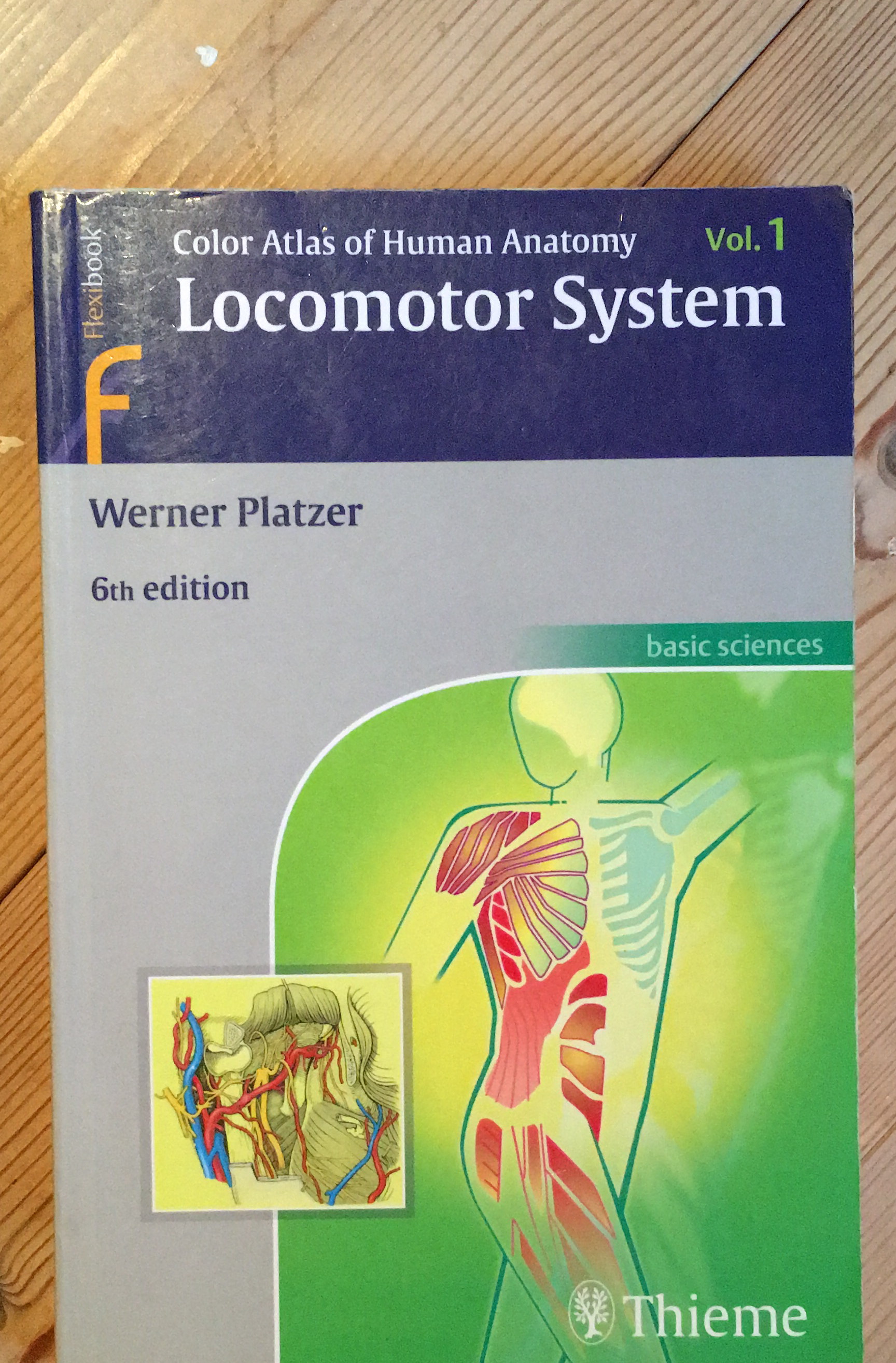 Color Atlas og Human Anatomy Locomotor System…