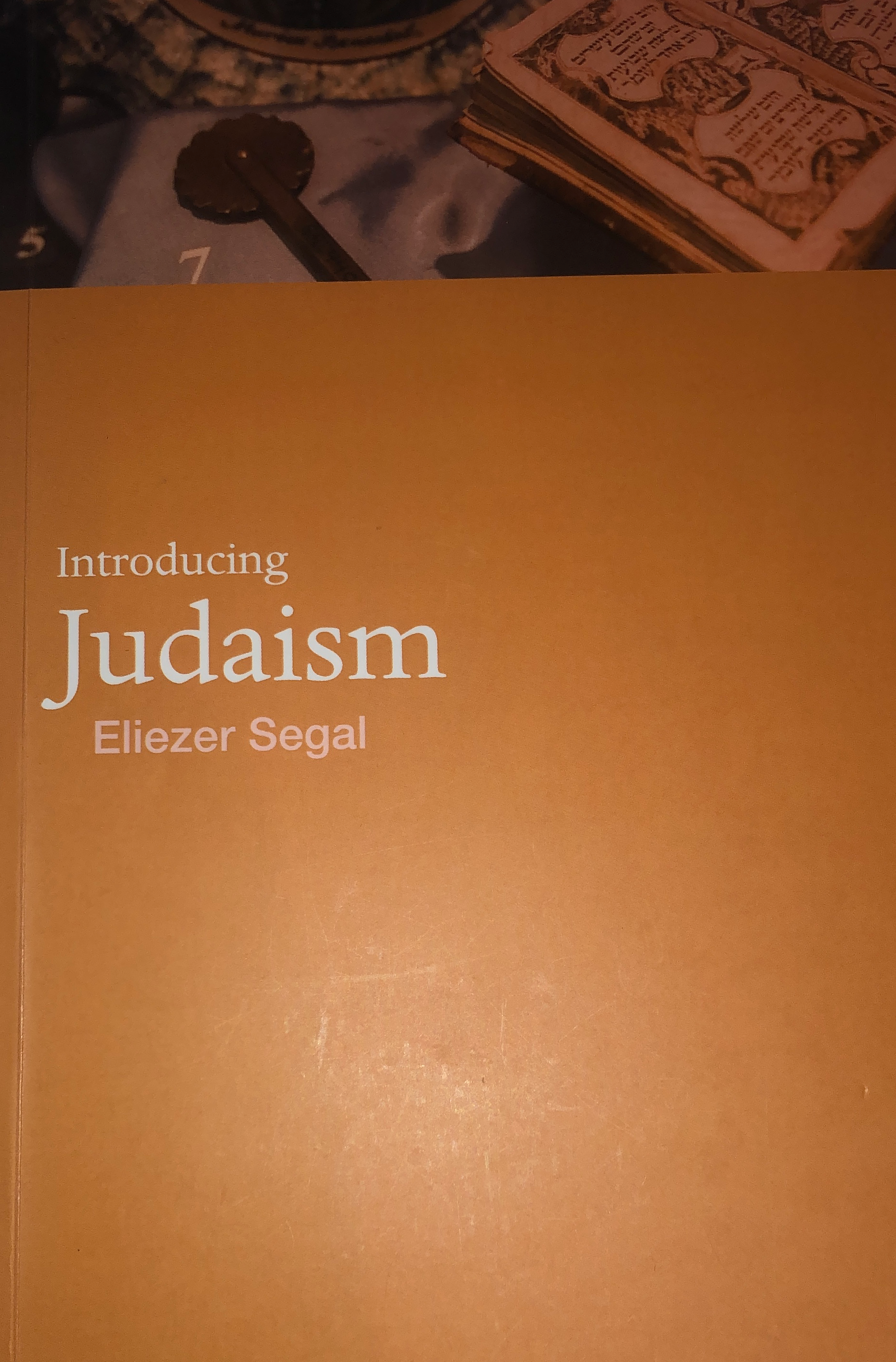 Introducing Judaism