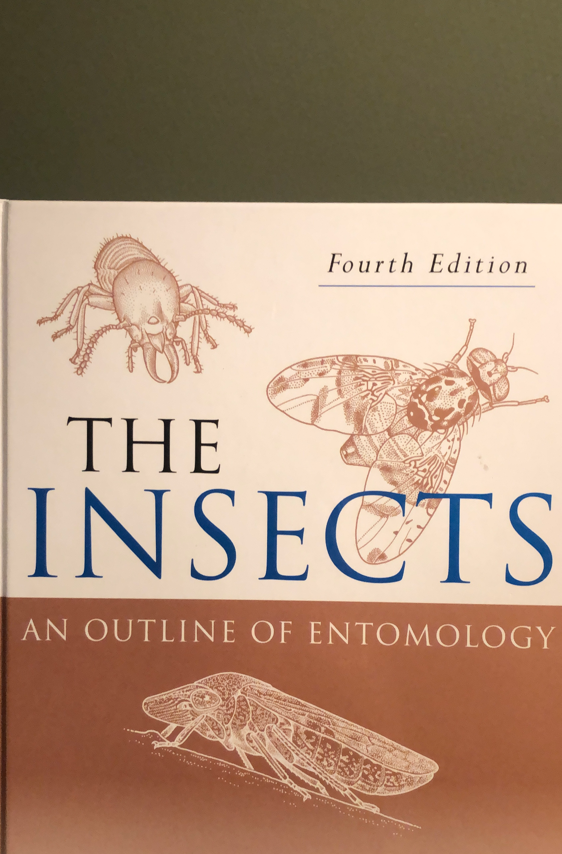 The insects an outline of entomology fourth e…