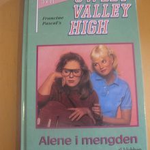 tl klubben - Sweet Valley High: Alene i mengden