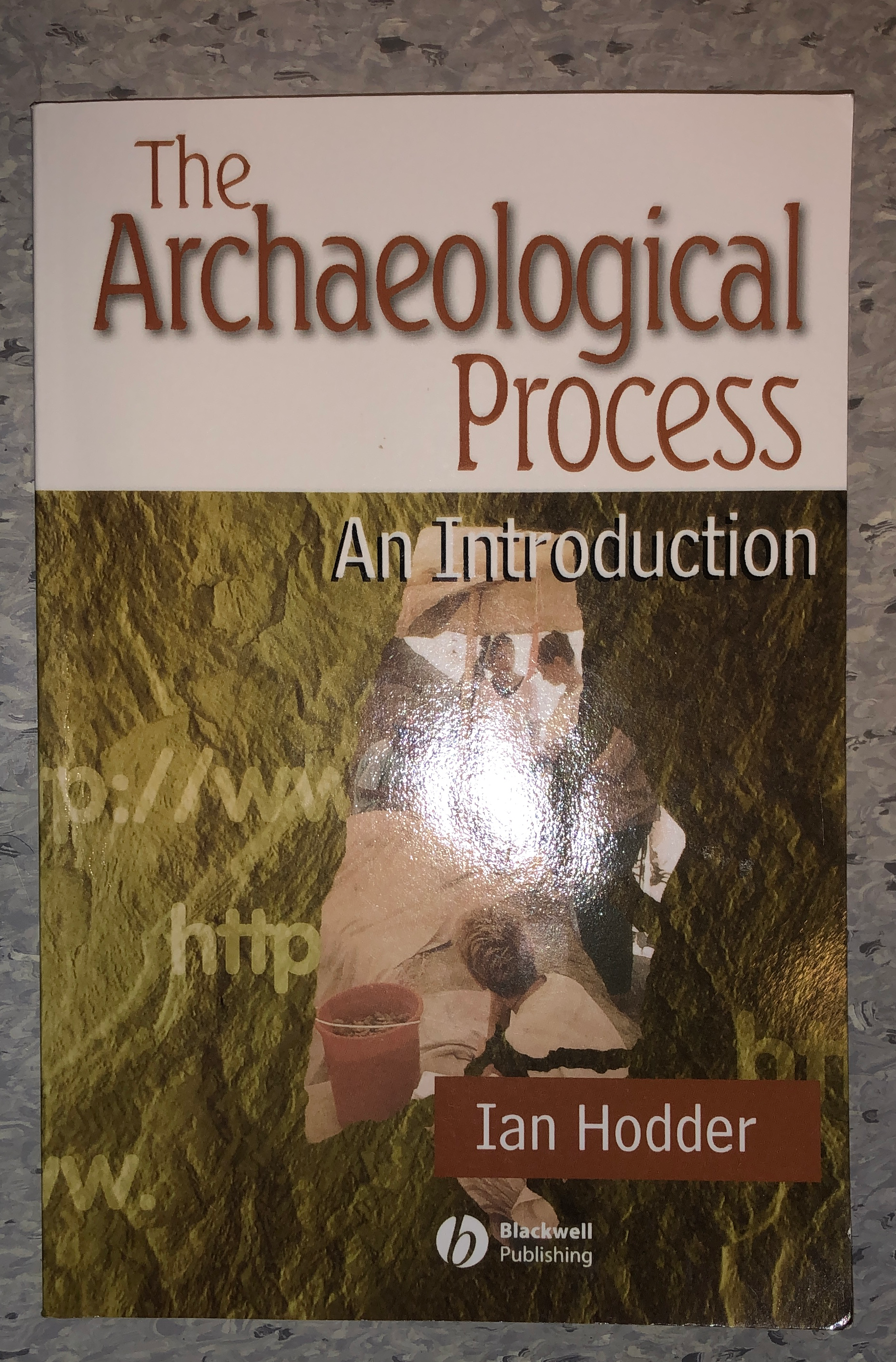 The archaeological process: an introduction