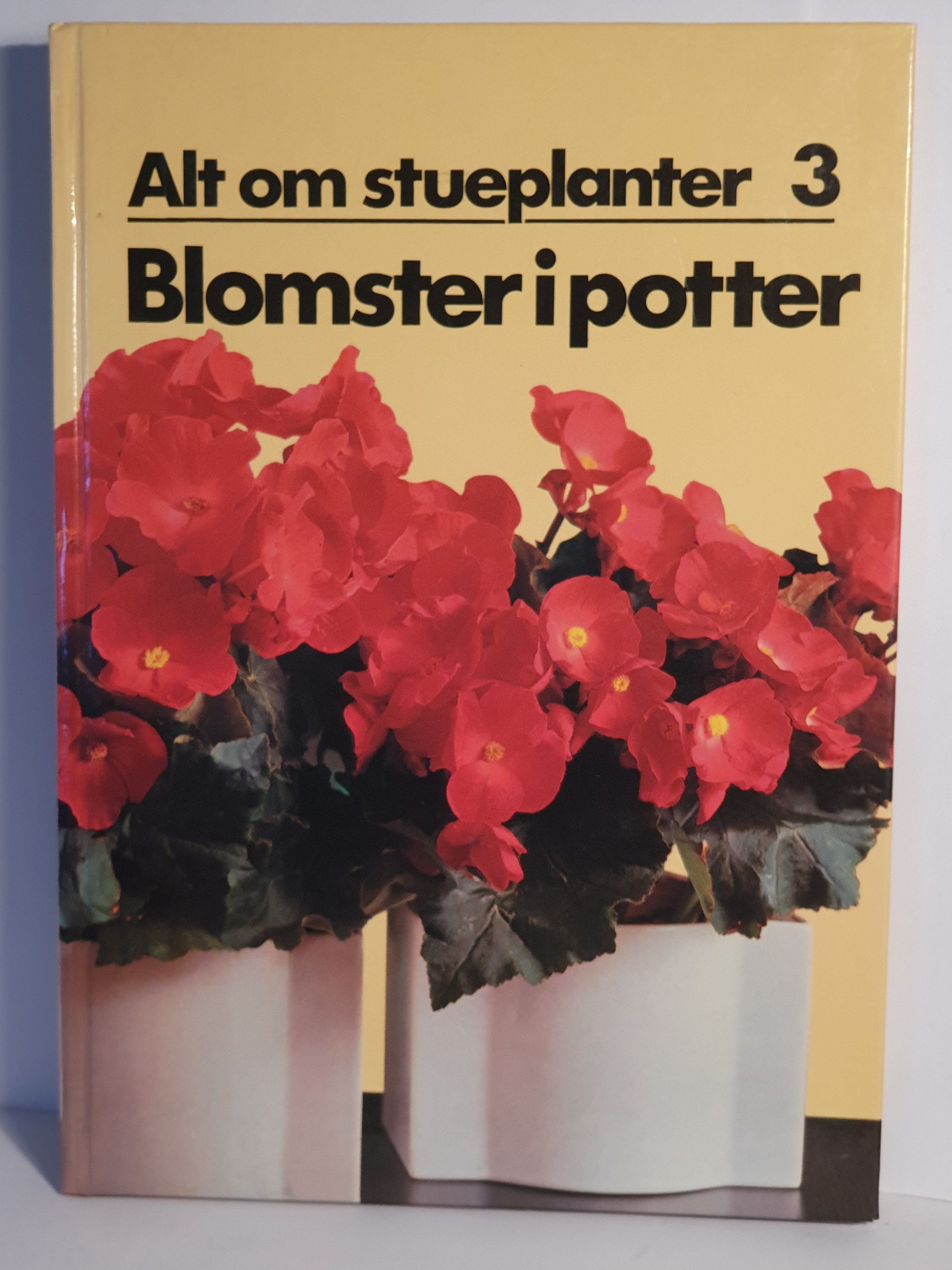 Alt om stueplanter 3 - Blomster i potter